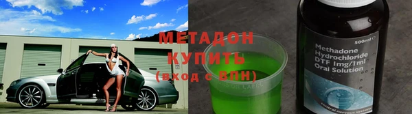 прущие грибы Балахна