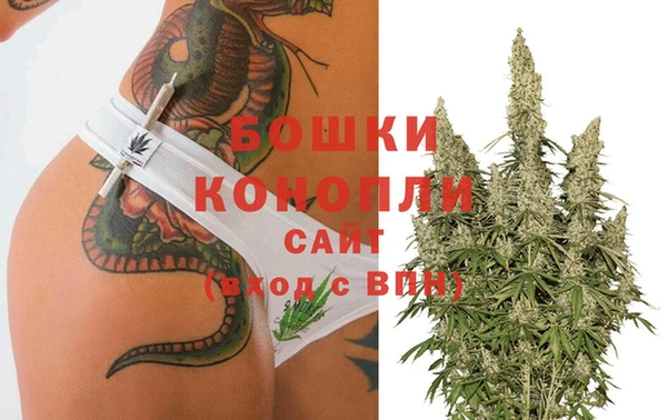 прущие грибы Балахна