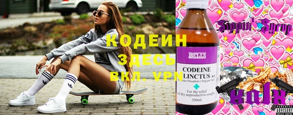 прущие грибы Балахна