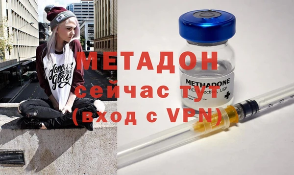 прущие грибы Балахна