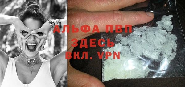 прущие грибы Балахна