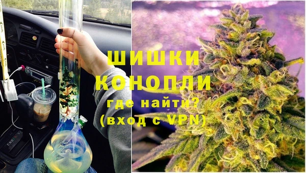 прущие грибы Балахна