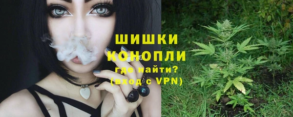 прущие грибы Балахна