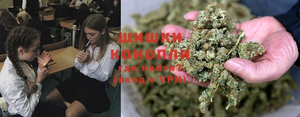 прущие грибы Балахна